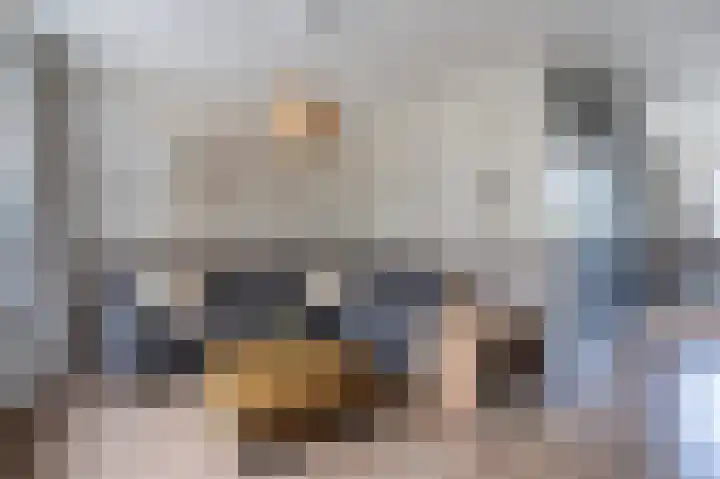 Hofstukken 110 Assen thumbnail 15