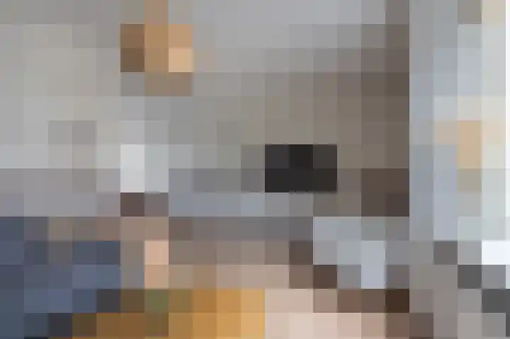Hofstukken 110 Assen thumbnail 16
