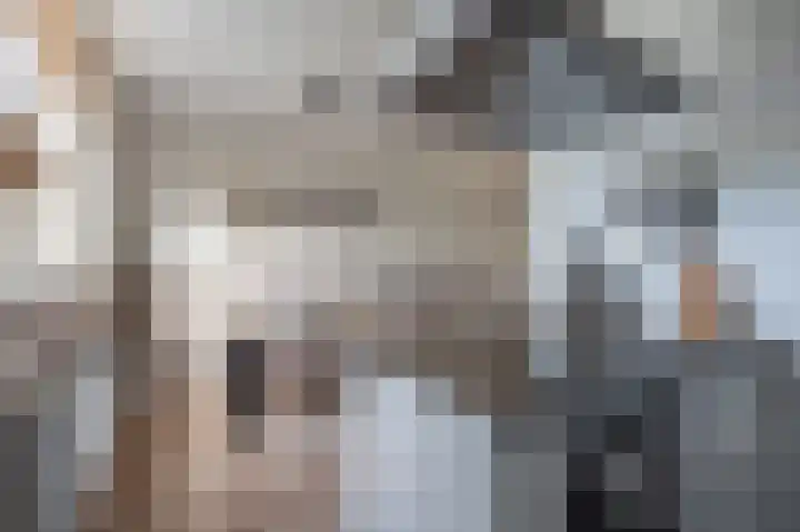 Hofstukken 110 Assen thumbnail 20