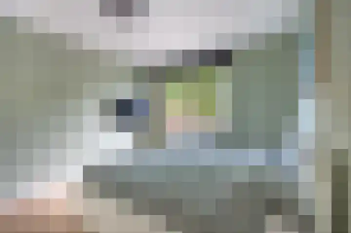 Hofstukken 110 Assen thumbnail 28