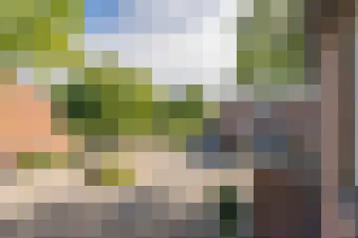 Hofstukken 110 Assen thumbnail 30