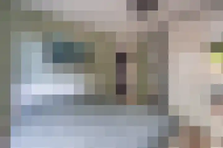 Hofstukken 110 Assen thumbnail 31