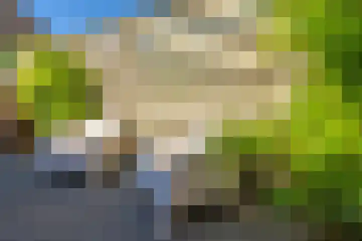 Hofstukken 110 Assen thumbnail 37