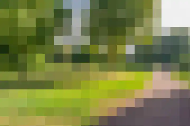 Hofstukken 110 Assen thumbnail 47