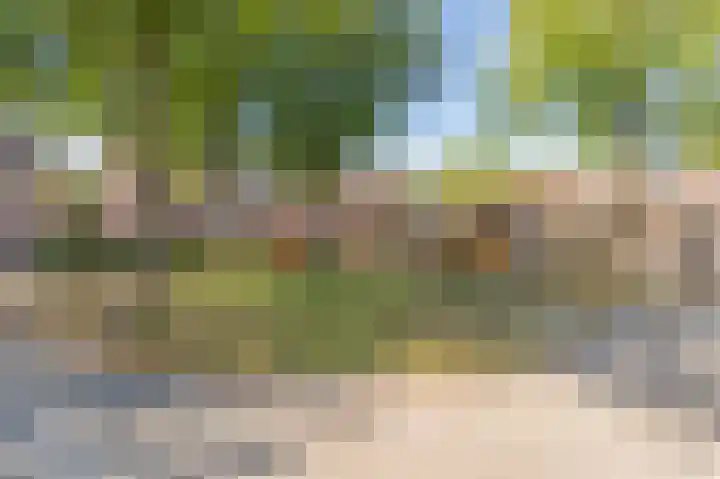 Hofstukken 110 Assen thumbnail 48