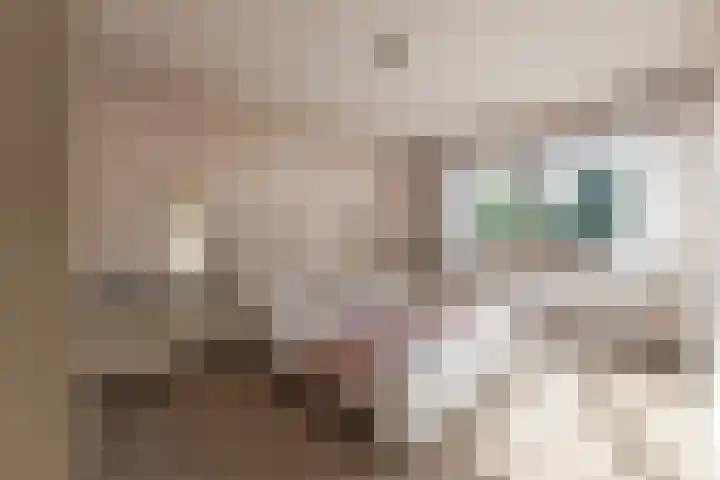 Hofstukken 115 Uden thumbnail 22