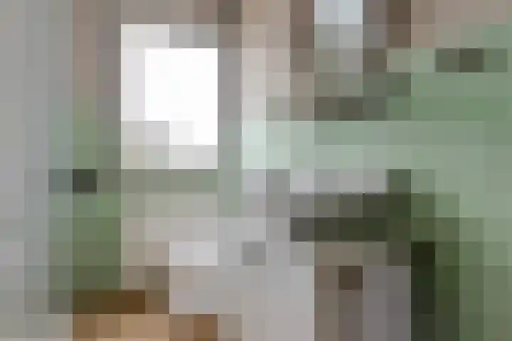 Hofstukken 115 Uden thumbnail 26