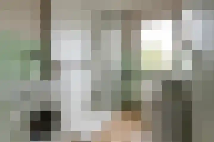 Hofstukken 115 Uden thumbnail 27