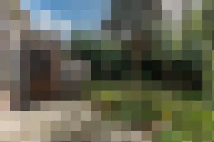 Hofstukken 115 Uden thumbnail 31
