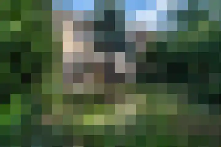 Hofstukken 115 Uden thumbnail 32