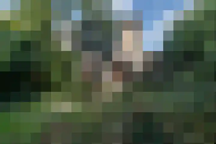 Hofstukken 115 Uden thumbnail 33