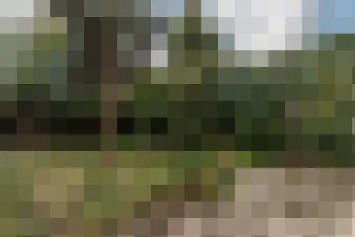 Hofstukken 115 Uden thumbnail 34