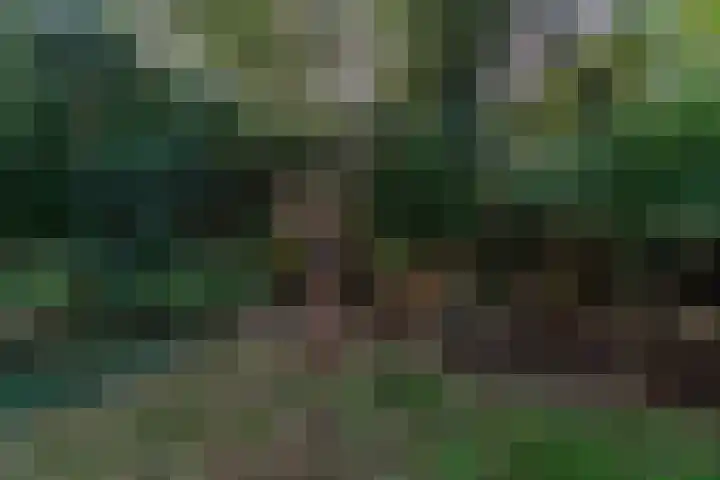 Hofstukken 115 Uden thumbnail 35