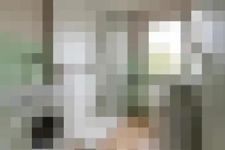 Hofstukken 115 Uden thumbnail 4
