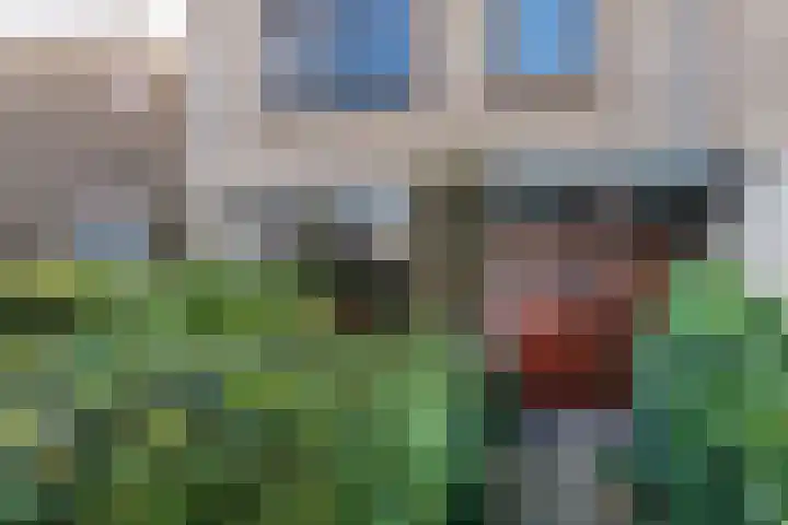 Hofstukken 115 Uden thumbnail 7