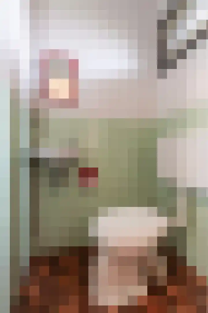 Hofstukken 115 Uden thumbnail 9