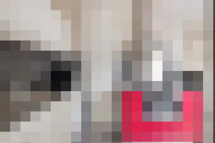 Hofstukken 124 Assen thumbnail 14
