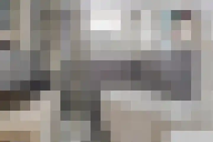 Hofstukken 124 Assen thumbnail 18