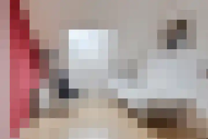 Hofstukken 124 Assen thumbnail 24