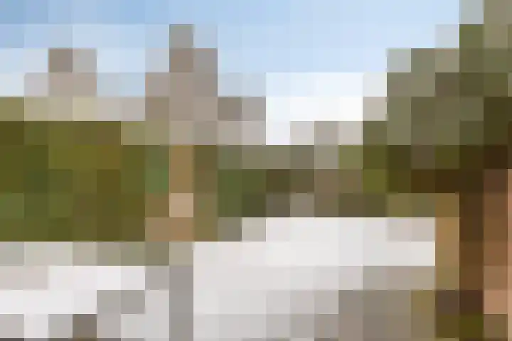Hofstukken 124 Assen thumbnail 27