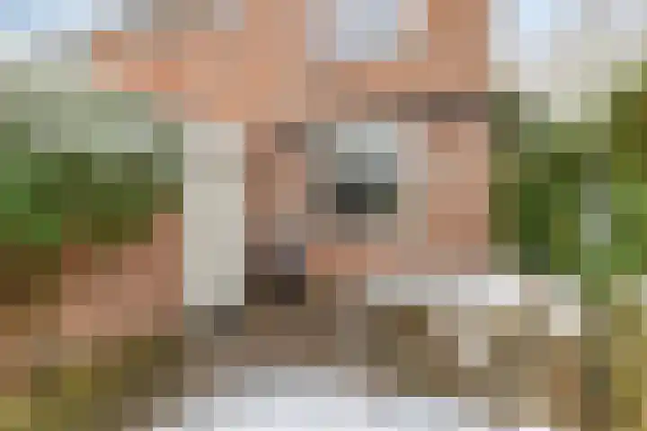 Hofstukken 124 Assen thumbnail 28