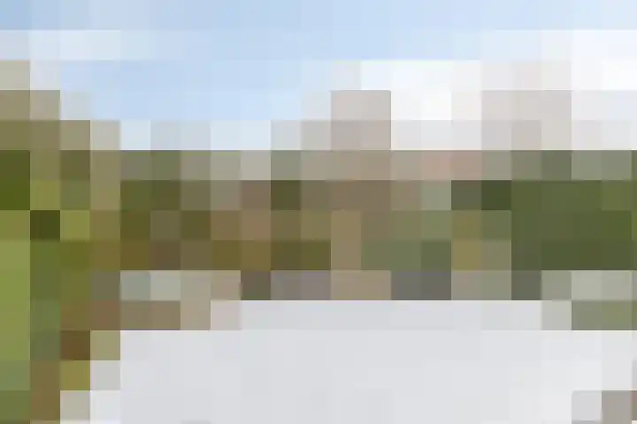 Hofstukken 124 Assen thumbnail 29