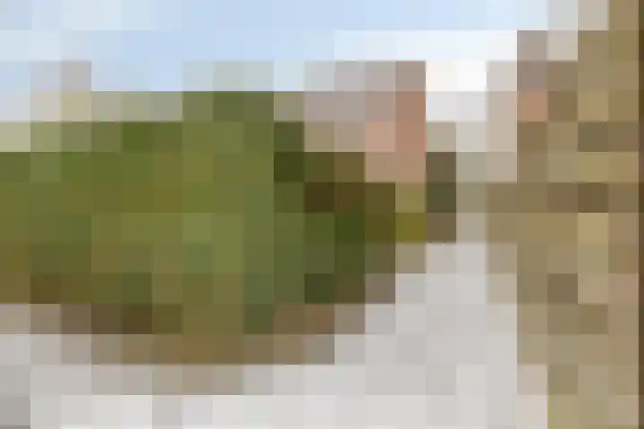 Hofstukken 124 Assen thumbnail 33