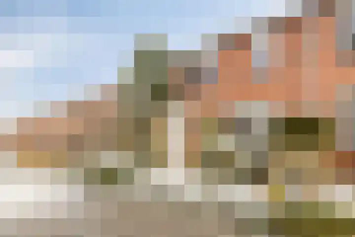 Hofstukken 124 Assen thumbnail 34
