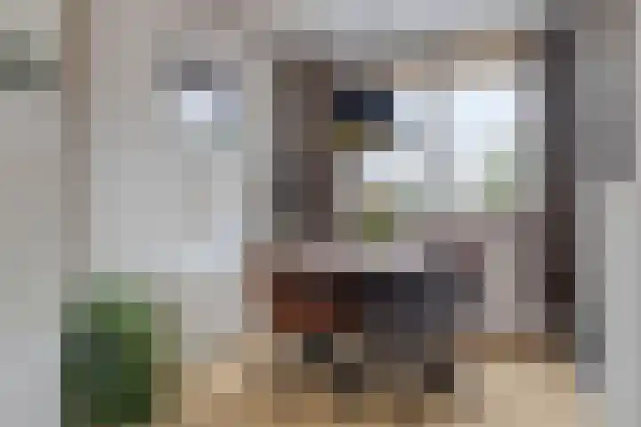 Hofstukken 124 Assen thumbnail 8