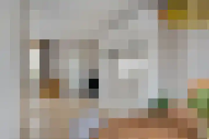 Hofstukken 124 Assen thumbnail 9