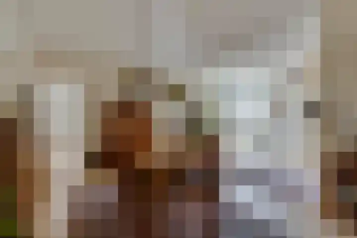 Hofstukken 140 Uden thumbnail 9