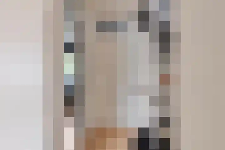 Hofstukken 152 Assen thumbnail 10