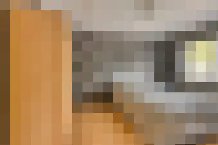 Hofstukken 152 Assen thumbnail 12