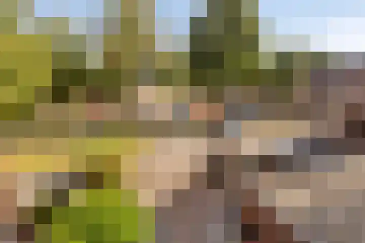 Hofstukken 152 Assen thumbnail 19