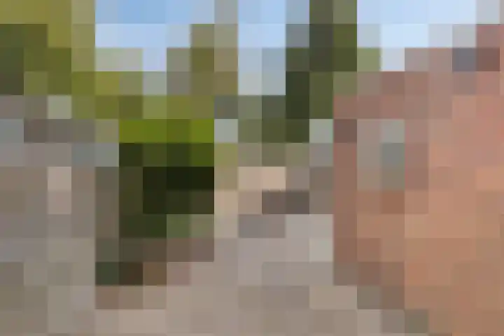 Hofstukken 152 Assen thumbnail 20