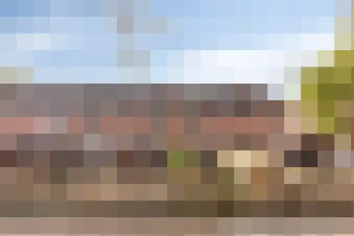 Hofstukken 152 Assen thumbnail 23