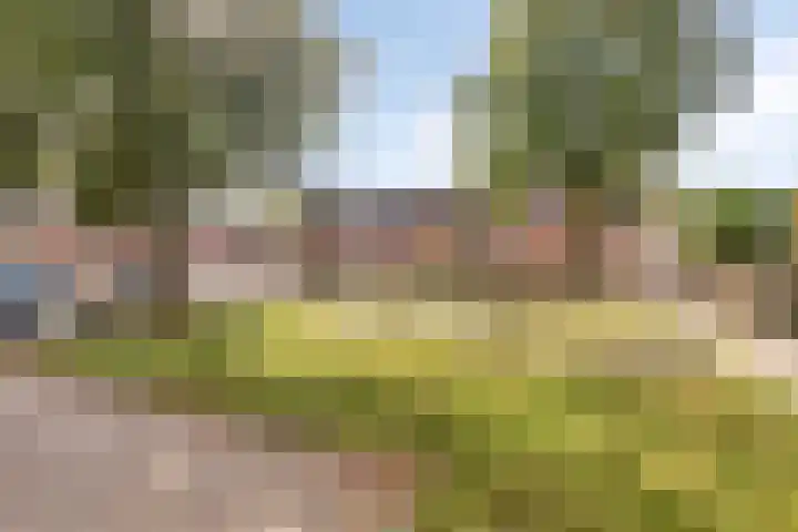 Hofstukken 152 Assen thumbnail 24