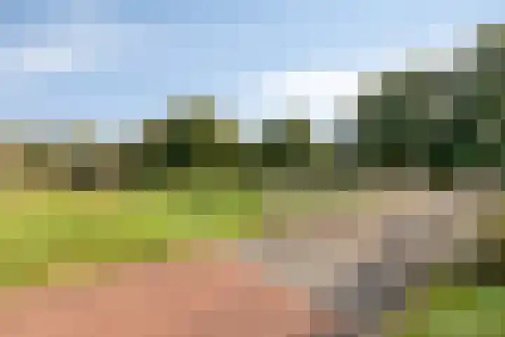 Hofstukken 152 Assen thumbnail 25