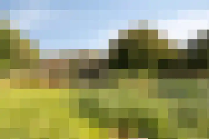 Hofstukken 152 Assen thumbnail 26