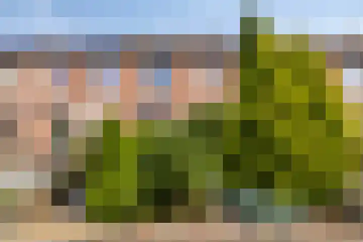 Hofstukken 152 Assen thumbnail 27