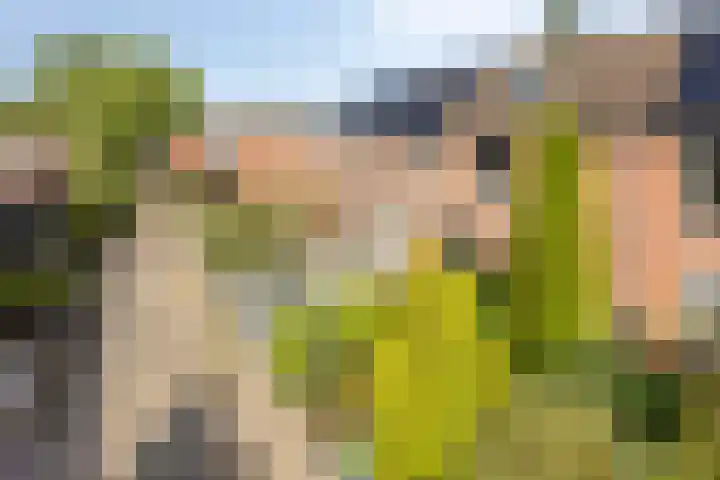 Hofstukken 152 Assen thumbnail 28