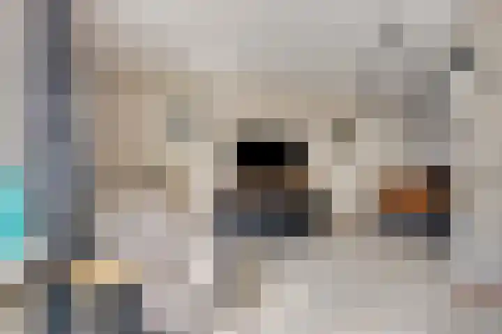 Hofstukken 152 Assen thumbnail 6