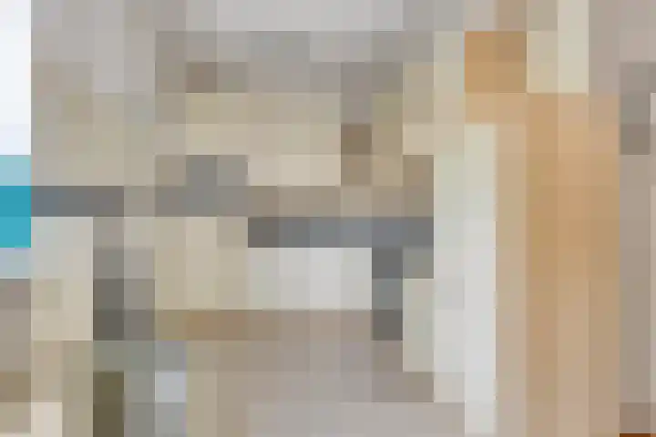 Hofstukken 152 Assen thumbnail 8