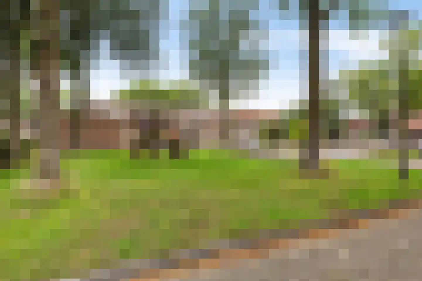 Hofstukken 22 Assen thumbnail 10