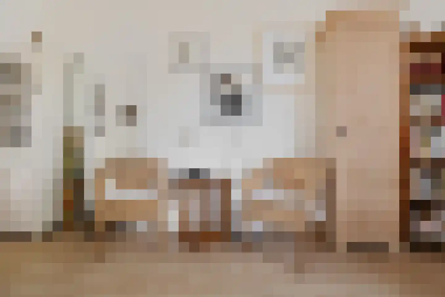 Hofstukken 22 Assen thumbnail 19
