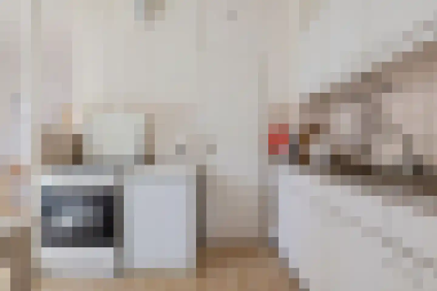 Hofstukken 22 Assen thumbnail 23