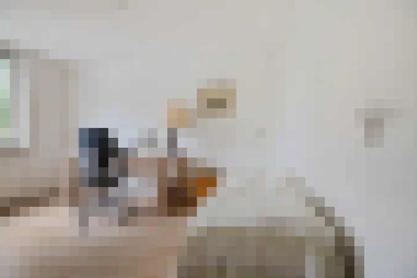 Hofstukken 22 Assen thumbnail 27