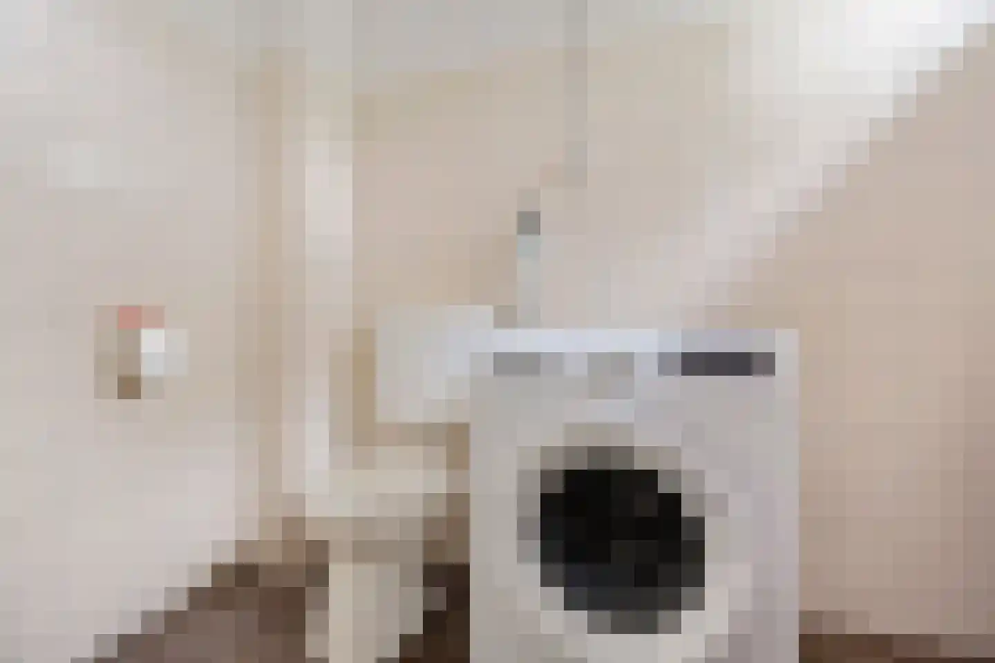 Hofstukken 22 Assen thumbnail 36