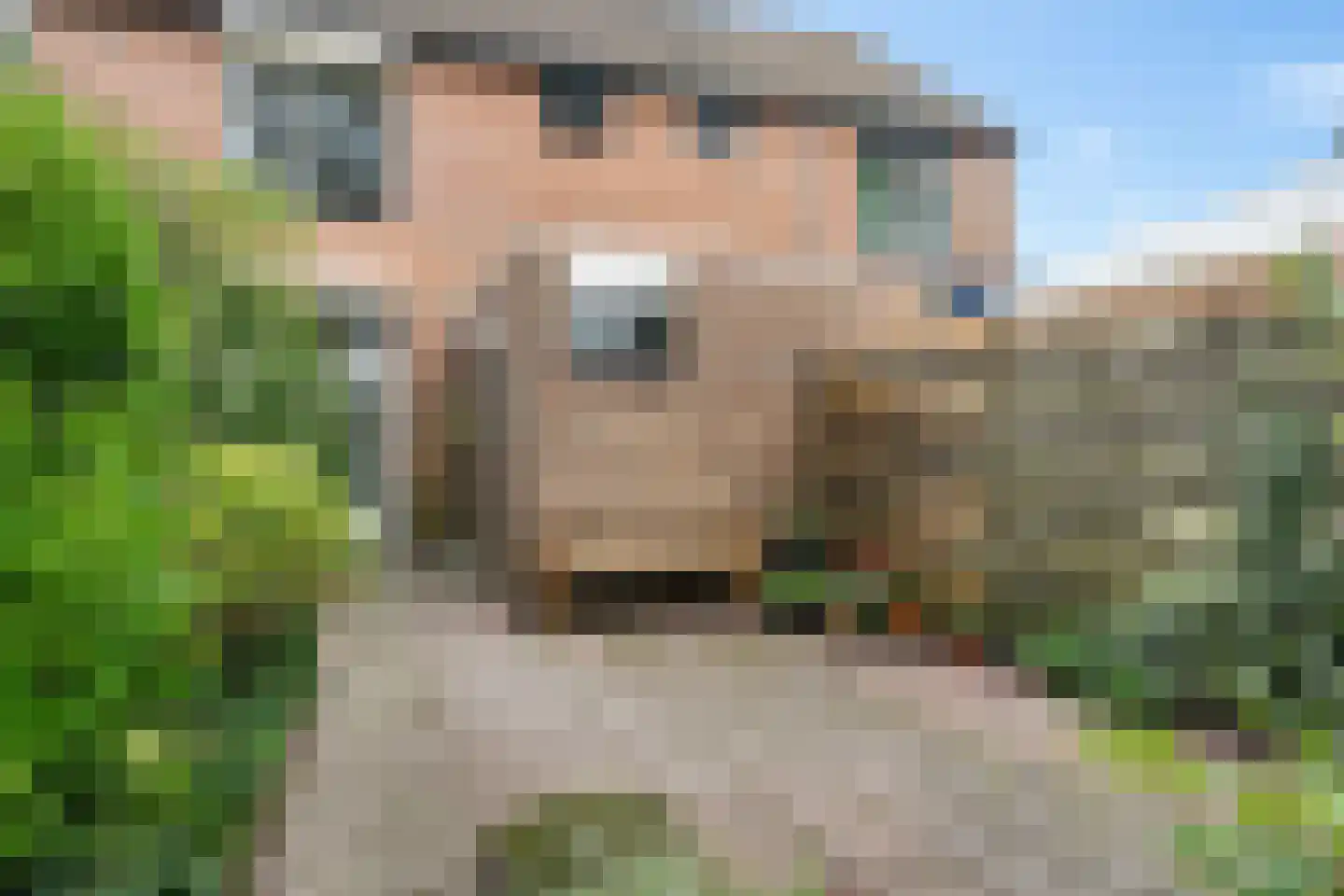 Hofstukken 22 Assen thumbnail 42