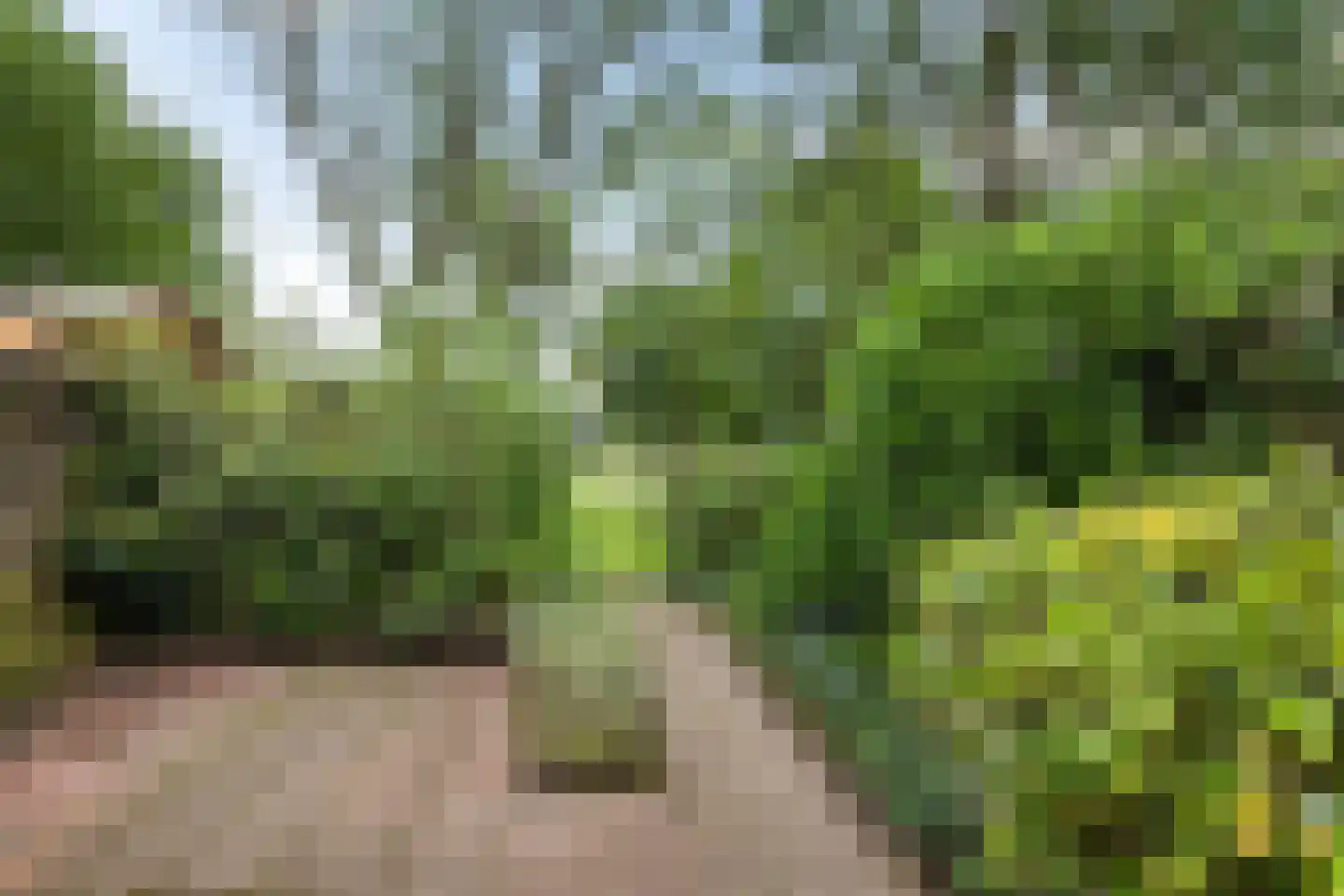 Hofstukken 22 Assen thumbnail 44